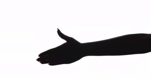 Hand silhouette greeting gesture woman handshake — Stock Video