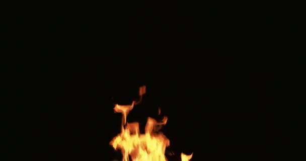 Lågor rörelse bakgrund eld på svart orange bränna — Stockvideo
