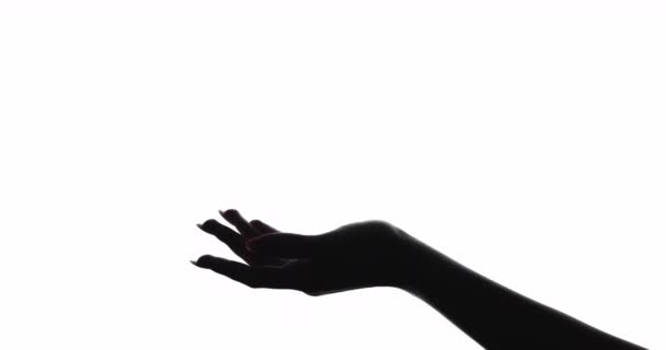 Mano silhouette cura della pelle cosmetologia donna braccio — Video Stock