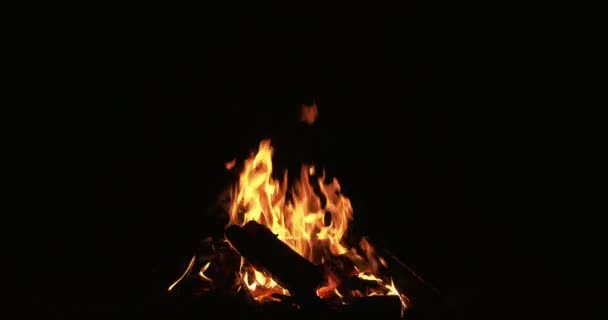 Feu de joie sur feu noir brûlant la flamme de grumes — Video