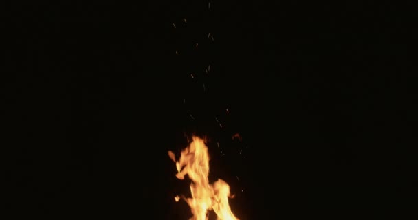 Fiamma sfondo fuoco scintille nero notte falò — Video Stock