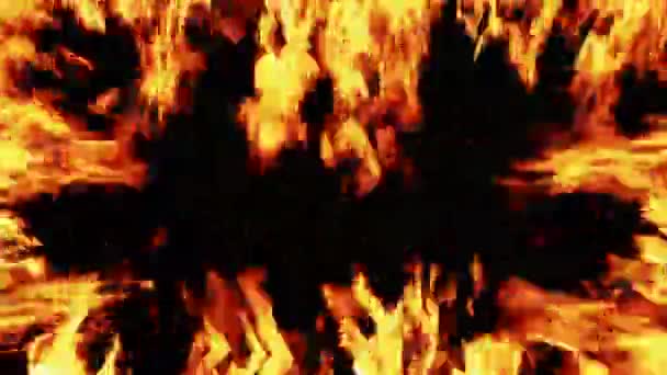 Feuerrahmen heißer Verkauf orange Flamme glühen auf schwarz — Stockvideo