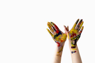 sanat projesi yaratıcı sinek ilham özgürlüğü