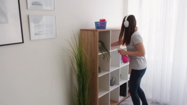 Cleaning service enjoying work housework routine — Stock Video
