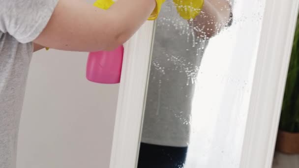 Limpieza del hogar limpieza del hogar servicio muebles higiene — Vídeos de Stock