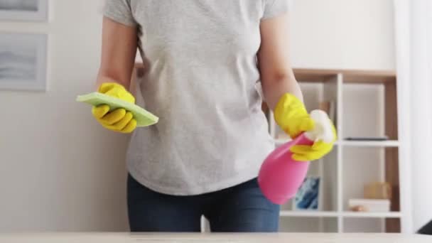 Huis klusjes genieten huishouden kamer schoonmaken — Stockvideo