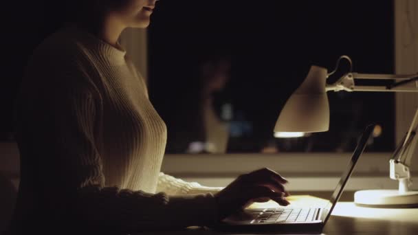 Working woman freelance copywriter remote job — Stock Video