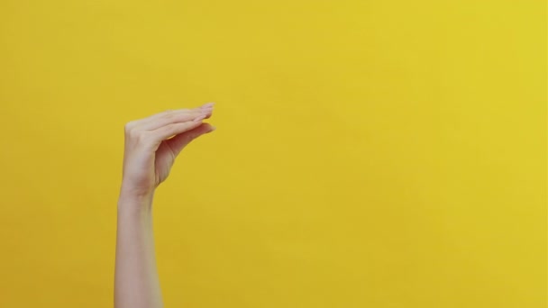 Handtheater schoonmaakmiddelen tonen thuis hygiëne — Stockvideo