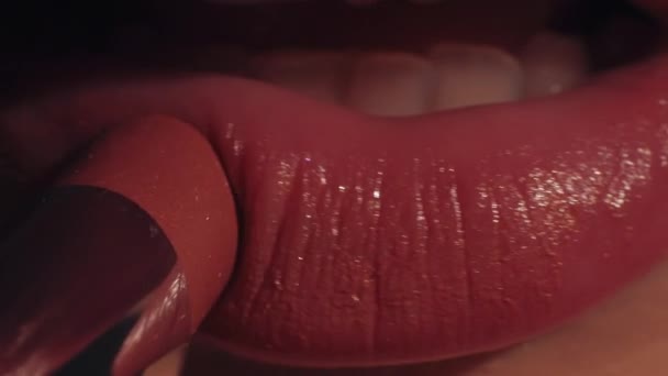 Ruj sürerken dudak makyajı yapan kadın dudak parlatıcısı — Stok video