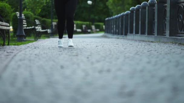 Course de rue séance d'entraînement bien-être obèse femme jambes — Video