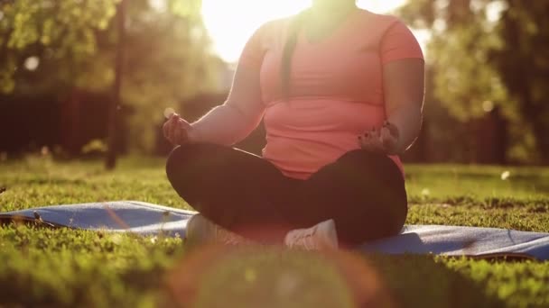 Zen Freizeit Outdoor Yoga übergewichtige Frau Park — Stockvideo