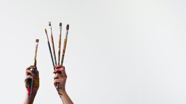 Artist equipment creative hobby hands paintbrushes — Stock Video