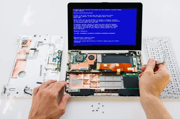 Warranty maintenance of the laptop (pc computer). Windows fatal — Stock Photo, Image