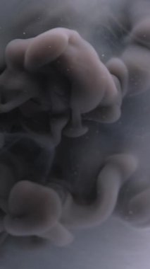 Dikey video. Duman boyası. Fış sanatı. Odaklanmamış sisli duman mor patlama sıvıdaki sıvı mürekkep dokusu soyut koyu siyah arkaplan üzerinde yüzüyor..