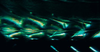 Defocused glimmer. Blur glare. Rainbow green blue color optical lens glisten visual texture on luminous light art dark black background.