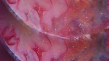 Mürekkep kıvrımı parlıyor. Sanat sıvısı bulanıklığı. Kırmızı gri sarı akrilik karışım rengi. Parıldayan parçacıklar çözünmüş yuvarlak kemer arkaplanı boyası.