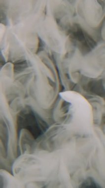 Dikey video. Duman boyası. Fış sanatı. Soyut koyu siyah arkaplan üzerinde yüzen su karışımı bulut sisli beyaz renk sıvı mürekkep dokusu.