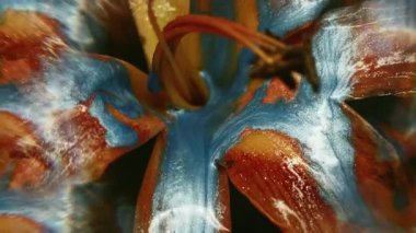 Su altı damlası dokusu. Mürekkep döküldü. Odaklanmamış kırmızı turuncu zambak çiçeği doğa mavi akış suyu botanik sanatının arka planına akıyor.