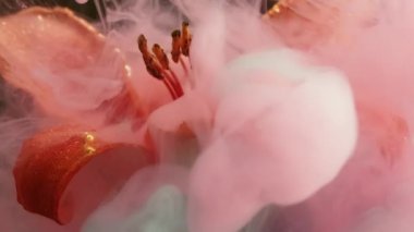 Sıvı erkek organı. Harman boyası. Odaksız pembe renk duman suyu altın rengi zambak çiçeği doğası soyut sanat üzerine koyu siyah arkaplan.