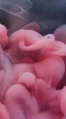 Dikey video. Duman akışı. Soyut mürekkep. Odaklanmamış pembe renk dumanı ruhani kirlilik dokusu koyu siyah arka planda sıvı karışımı.