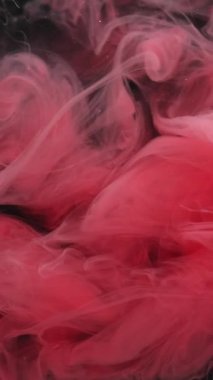 Dikey video. Puslu bir arkaplan. Soyut boya. Odaklanamayan pembe renkli ruhani bulut akan su sıvısı kimyasal siyah sanata yayılıyor..