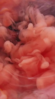 Dikey video. Mürekkep damlası patlaması. Suyu boya. Odaklanmamış turuncu mor renkli ruhani sıçrama sıvısı soyut koyu siyah sanat arka planında yüzüyor..