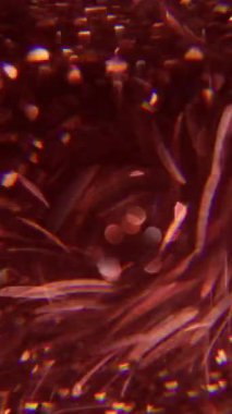 Dikey video. Daire renginde işaret fişeği. Bulanık kaleydoskop bokeh. Soyut sanat arka planında çözünmüş bronz, mavi, yanıp sönen ışık tayfı dokusu.