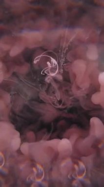 Dikey video. Mürekkep damlası patlaması. Suyu boya. Odaklanmamış mor renkli ruhani sıçrama sıvısı soyut koyu siyah sanat arka planında yüzüyor..