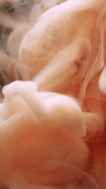 Dikey video. Sis dokusu. Soyut dalga. Odaklanmamış turuncu bronz renk boya su kimyasal sıvı sıvı bulut sanat arka planında hareket ediyor.