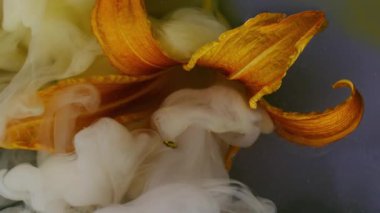 Çiçek boyası sıvısı. Bulut mürekkebi. Odaklanmamış kırmızı turuncu mavi renk girdaplı sıvı simli buhar bitkisi çitleri soyut arka planda yüzüyor..