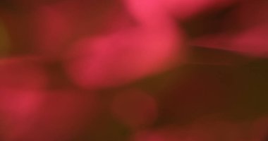 Odaklanamayan film parıltısı. Optik bulanıklık. Koyu arkaplanda kırmızı şekilsiz ışık lekesi. Parlak fantezi prizması aydınlatma soyut renk dokusu.