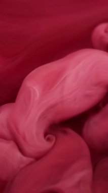 Dikey video. Boya damlası. Atmosferik duman. Odaklanmamış kırmızı pembe kırmızı sis sıvı kimyasal madde dalgası soyut arkaplana hücum ediyor.