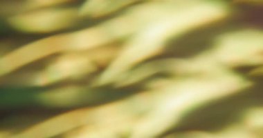 Görüntü dalgalı parıltı. Kaçak aydınlatma. Soyut koyu arkaplan rengini karıştıran yeşil sarı yansıma hareketi. Optik sanat efekti.