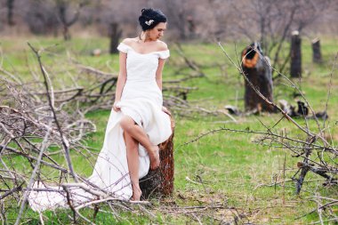 Gelini kesilmiş ağaç yakınındaki