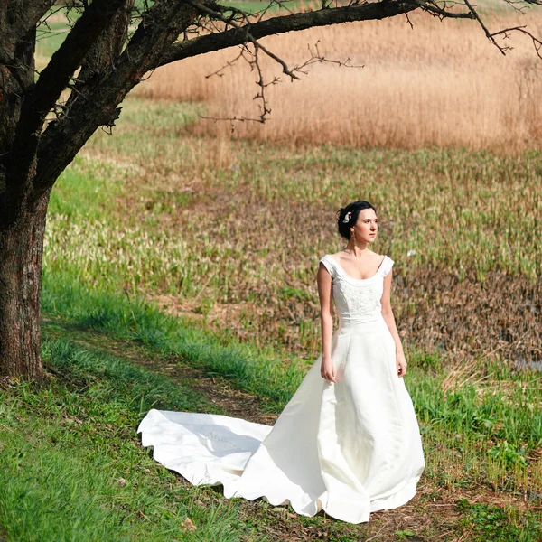 La mariée solitaire dans une magnifique robe de mariée avec un train — Photo