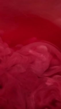 Dikey video. Soyut sis. Mürekkep at. Yaratıcı sanat arka planında yüzen kimyasal suda odaklanmış kırmızı, pembe, bulut rengi boya dokusu.