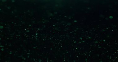 Bokeh ışığı. Yeşil renk parlıyor. Odaklanamayan titreşimli lens, soyut aydınlatmalı karanlık sanat arka planında parlak optik titreşimler oluşturur..