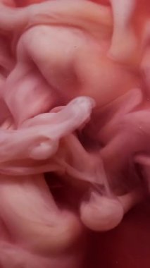 Dikey video. Duman boyası. Buhar bulutu. Su patlamasında çözünmüş mor turuncu renk sıçraması soyut arkaplanda yayılan parçacıklar.