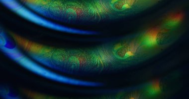 Odaklanmış psikedelik sıvı. Petrol soyutlaması. Turuncu yeşil neon renkli baloncuk mürekkep eğrisi akrilik sanat arka planında yüzen su dokusu.