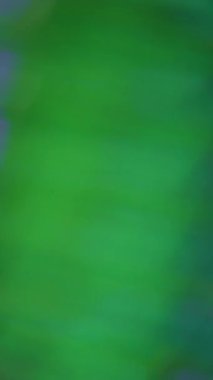 Dikey video. Odaklanmamış canlı ışıltılar. Titreşimli ışınlar. Yeşil mavi mercekle parlayan parlak ışık, bulanık ışık sanat arkaplanı..