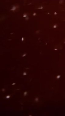 Dikey video. Görüntü pırıltısı. Hafif arkaplan. Mavi yeşil mor renkli mercek yanıp sönüyor. Parıldıyor. Parıldıyor..