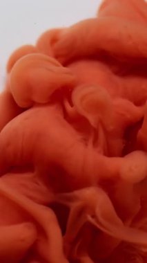 Dikey video. Renkli su. Boya akışı. Bulanık turuncu bronz girdap kimyasal akrilik emülsiyon duman pigmenti soyut beyaz sanat arka planına yayılıyor.
