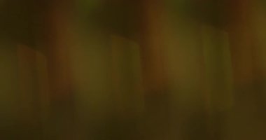 Görüntü sızıntısı aydınlatması. Yansıma flaş dokusu. Turuncu yeşil parlak harmanlayıcı renk soyut koyu arkaplan. Optik sanat efekti.