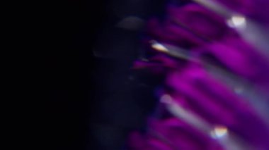 Kristal bulanıklık parıltısı. Işık huzmesi. Odaklanmamış mor neon renkli floresan optik lens koyu siyah soyut arka planda daireler çiziyor..