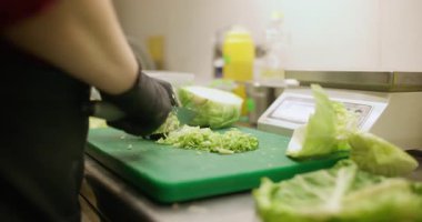 Lahana doğruyorum. Sebze doğrama. Eldivenli restoran şefi taze ham malzeme dilimliyor. Vejetaryen mutfağı için hazırlık yapıyorum..