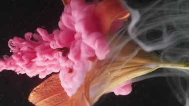 Dikey video. Çiçek dumanı. Mürekkep damlası patlaması. Odaklanmamış turuncu renk zambak çiçeği pembe renk soyut koyu siyah arkaplanda akıyor..