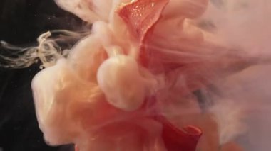 Dikey video. Çiçek soyutlaması. Sıçrama boyası. Nilüfer rengi çözünmüş pembe lekeler. Çiçek sanatında yüzen kara arka plan..