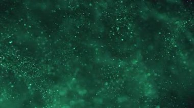 Bulanık daireler. Canlı parçacıklar. Soyut sanat arkaplanı üzerinde yüzen yeşil renkli parıltılı parlak parlak yuvarlak desen.
