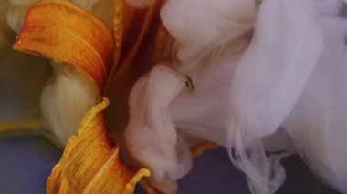 Dikey video. Çiçek suyu. Bulut mürekkebi. Odaklanmamış kırmızı turuncu mavi renk girdaplı sıvı simli buhar bitkisi çitleri soyut arka planda yüzüyor..