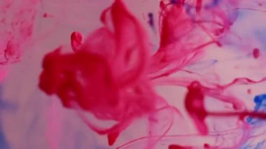 Pigment dumanı. Su damlacıklarını boya. Renk damlatma karışım akışı çözünmüş sıvı. Pembe mavi neon sanat dumanı harman arkaplan dokusu.